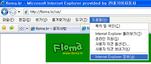 ie6.0.2900_000.png