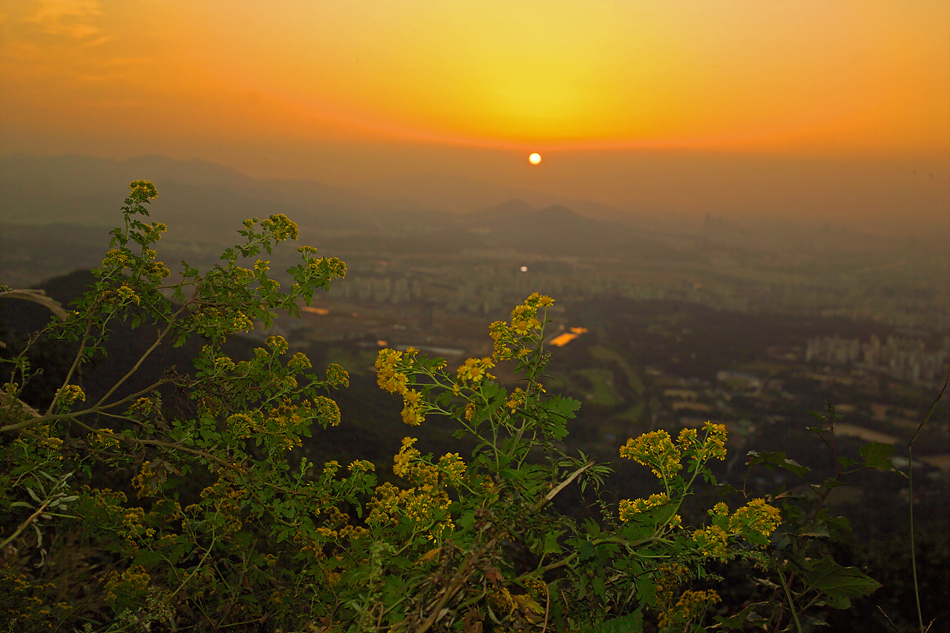 산국일몰2GR843687.jpg