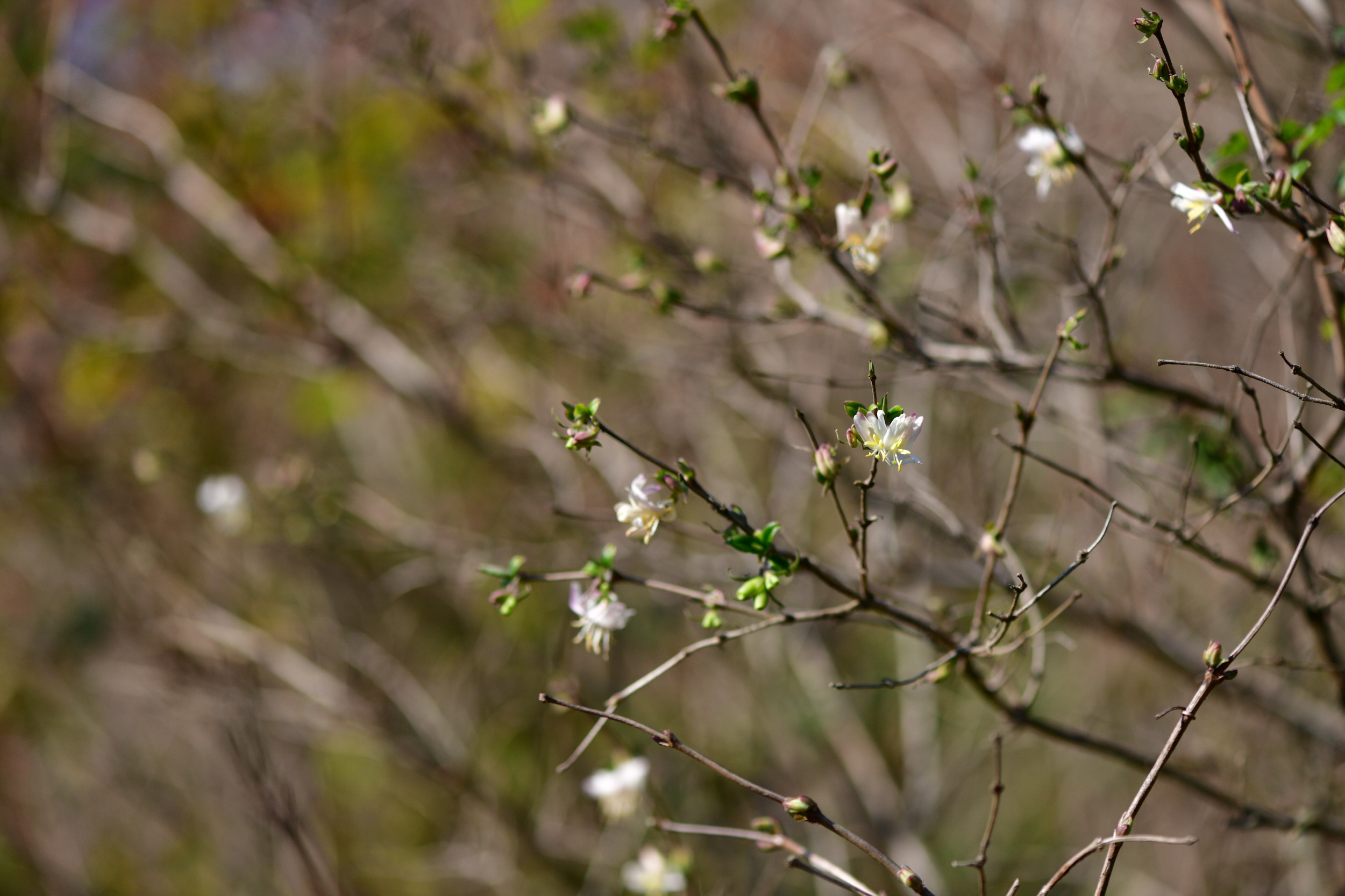 [크기변환]DSC_2784.JPG