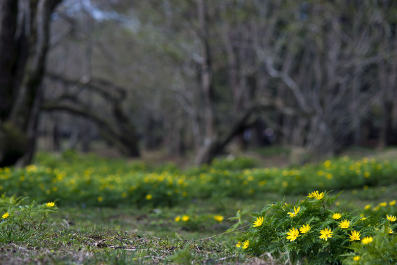 20130330_0072a-1.jpg