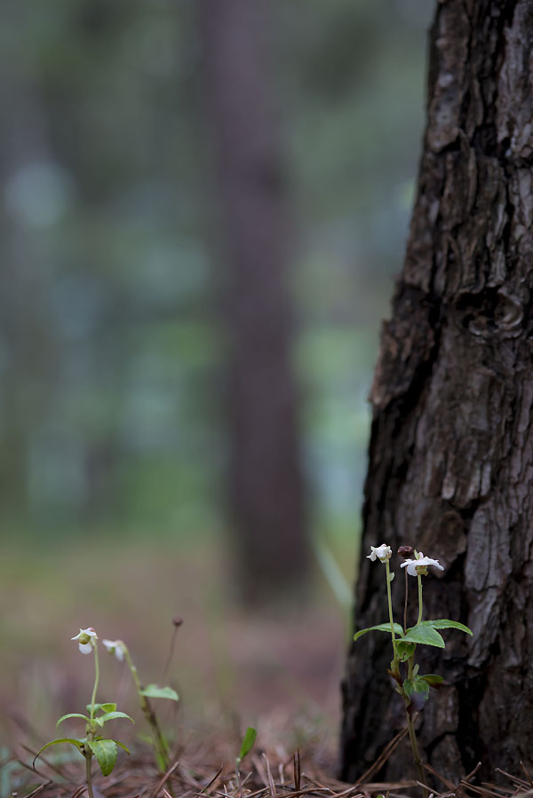 20130623_0104a-1.jpg