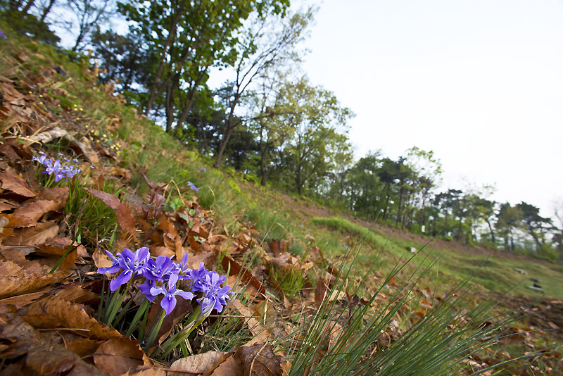 20130506_0009a-1.jpg