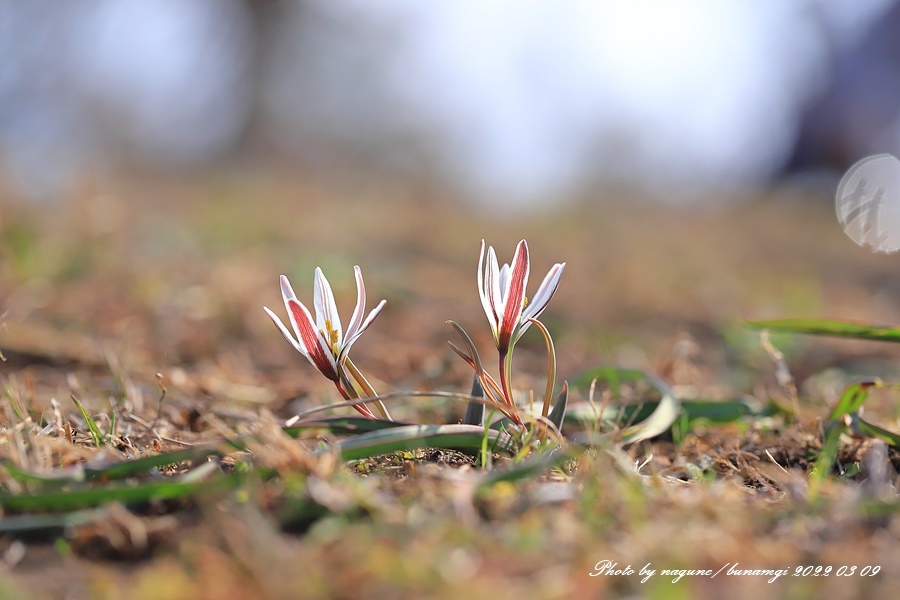 산자고3.jpg