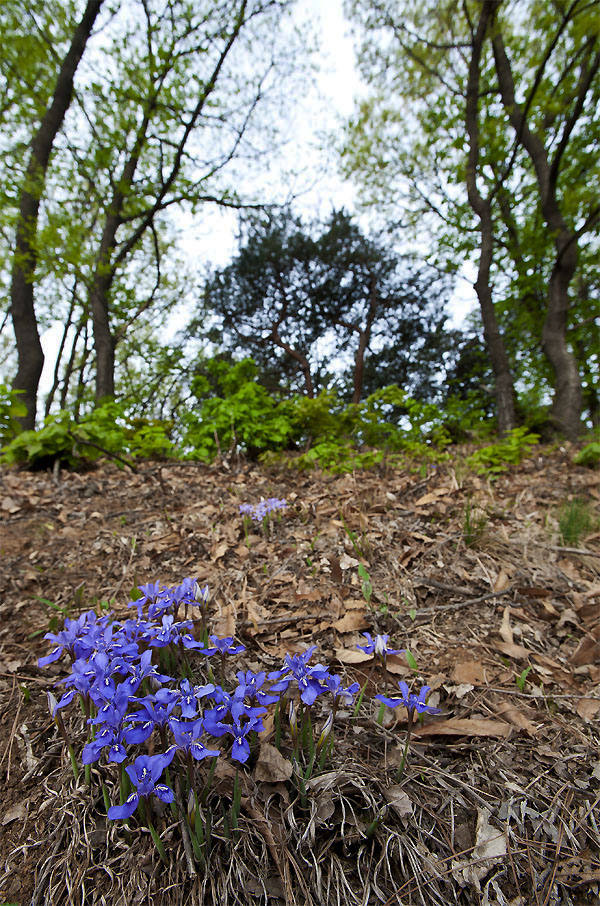 20120501_0050a-1.jpg