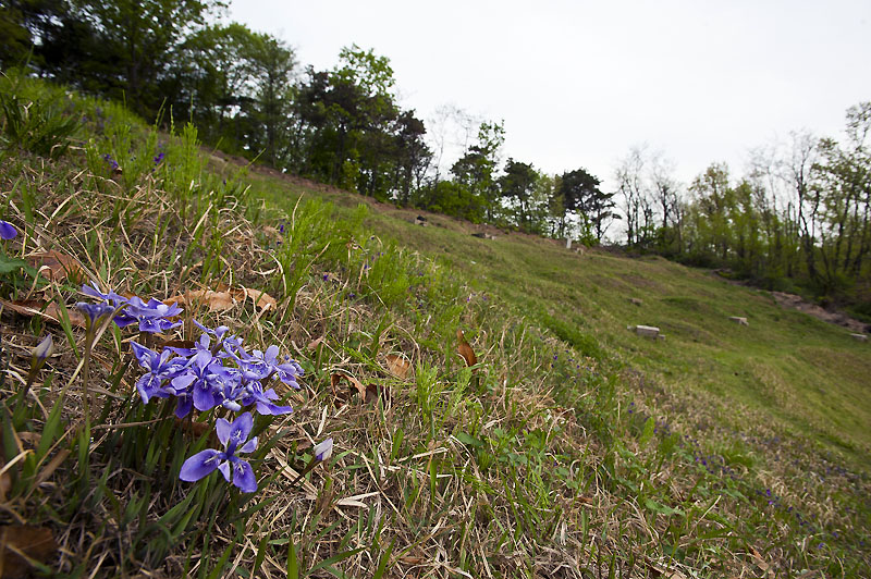 20120501_0081a-1.jpg