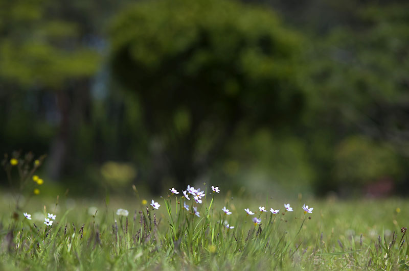 20130512_0090a-1.jpg