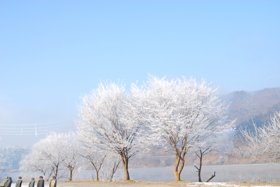 충주호반.jpg